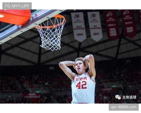 琼阿梅尼防守效率与战术适配性是否被高估