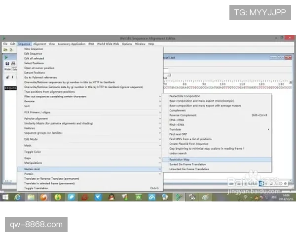 罗德里戈角色适配与体系兼容性分析
