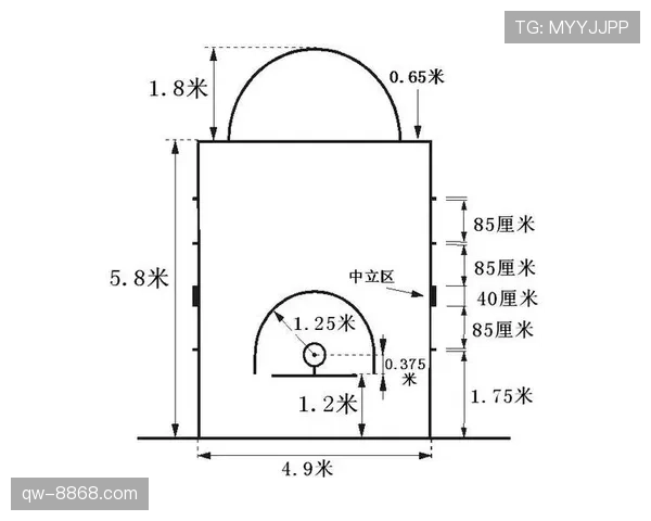 球卡篮筐是什么规则？解析NBA与FIBA的判罚标准