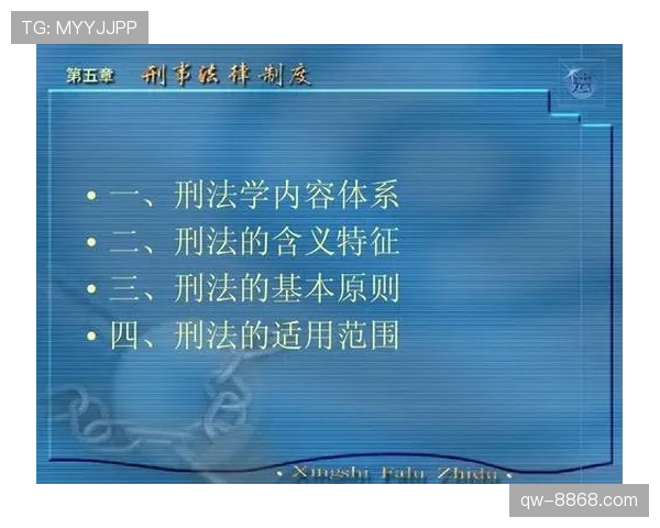 详解篮球挑战判罚规则的适用时机与判定标准